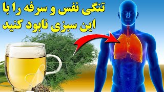 چهارده خاصیت اعجاب آور شوید دردرمان بیماریها amazing properties of Dill in the treatment of diseases