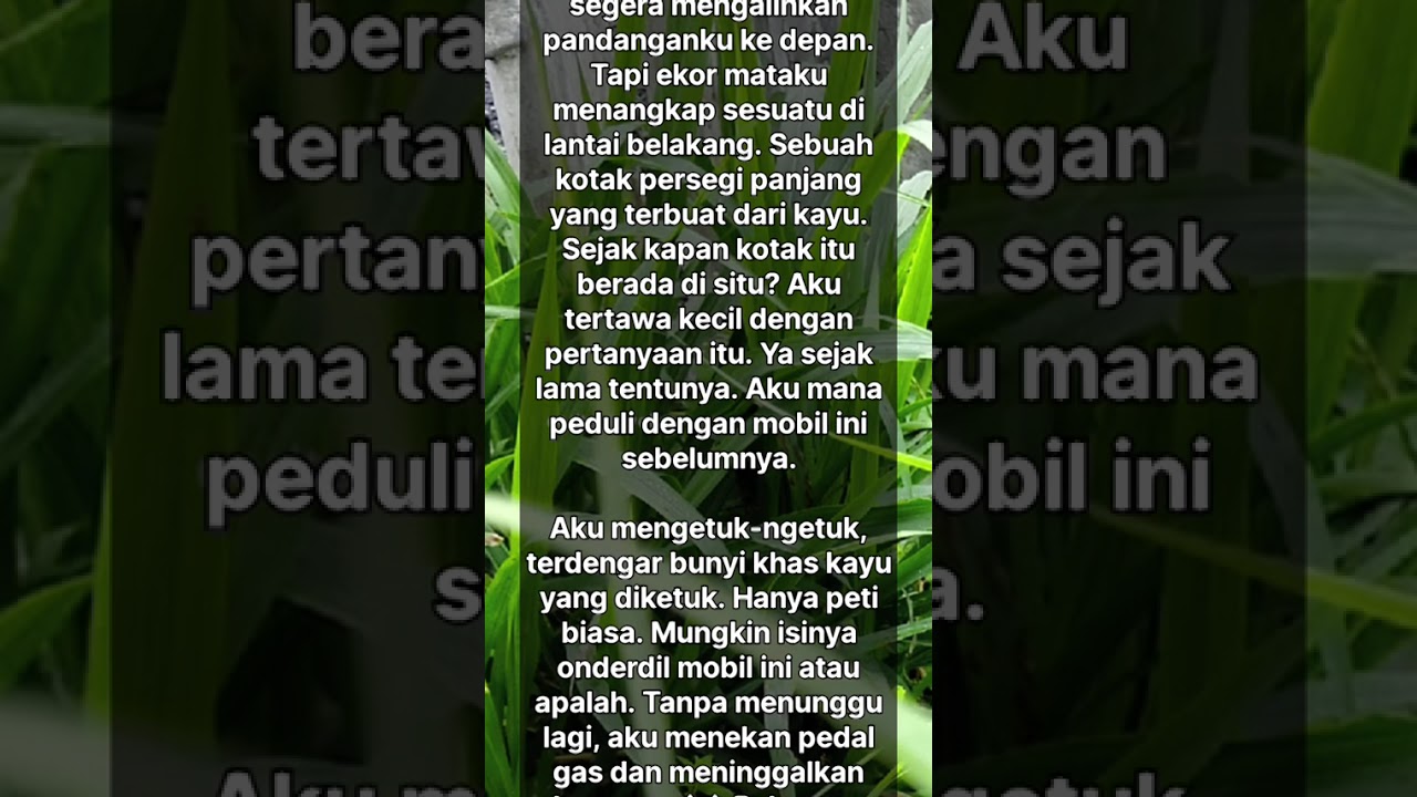 Warisan Mobil Tua Untuk Sultan 2