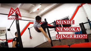 Šiurkaus Rubrika #3 - Ginger flip
