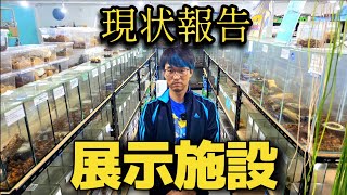 ２年前にオープンした昆虫ショップの現在