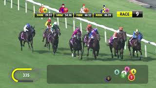 Vidéo de la course PMU SINGAPORE THREE YEAR OLD SPRINT