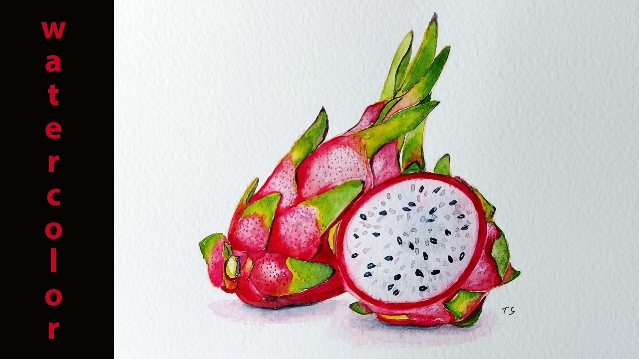 Watercolor Dragon Fruit