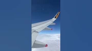 Thumbnail of Imagine your next holiday, you would fly to…#holiday #airport  #airplane  #tattoo #loreen #tigerair