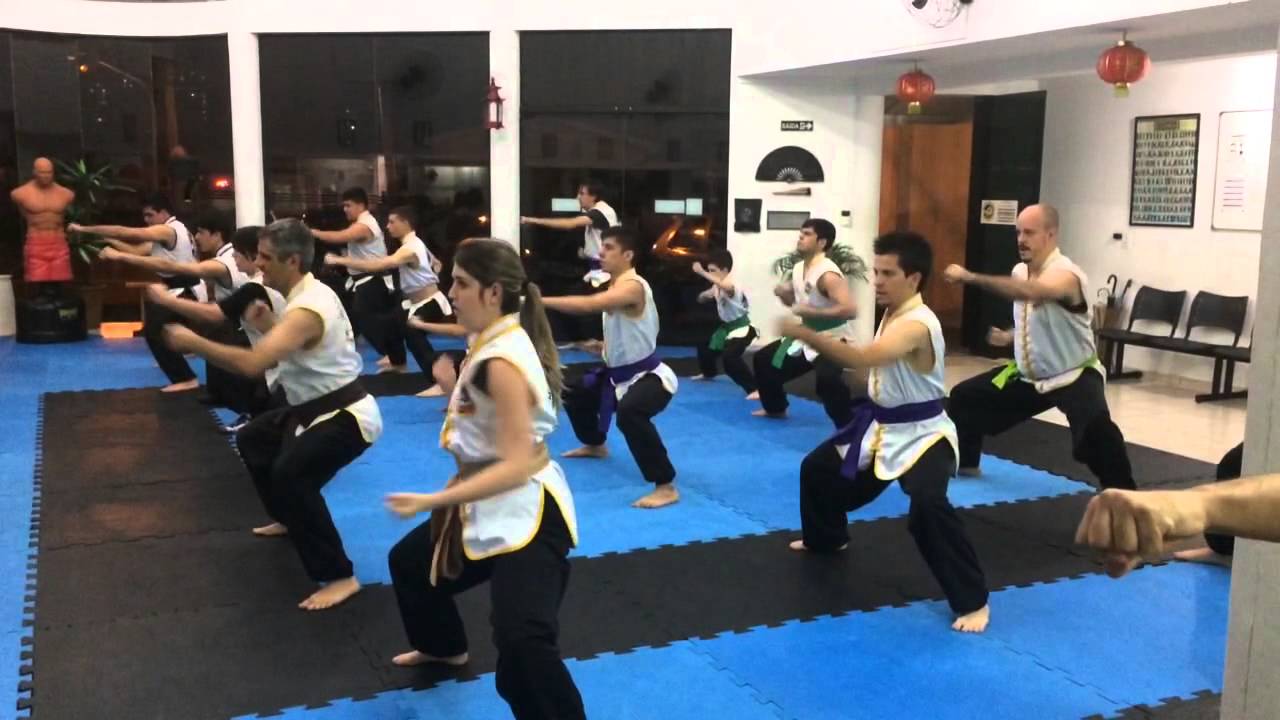 Aula kung fu - julho de 2015 - YouTube