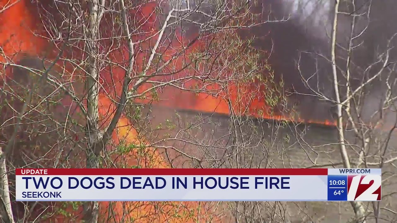 Two dogs dead in Seekonk house fire - YouTube