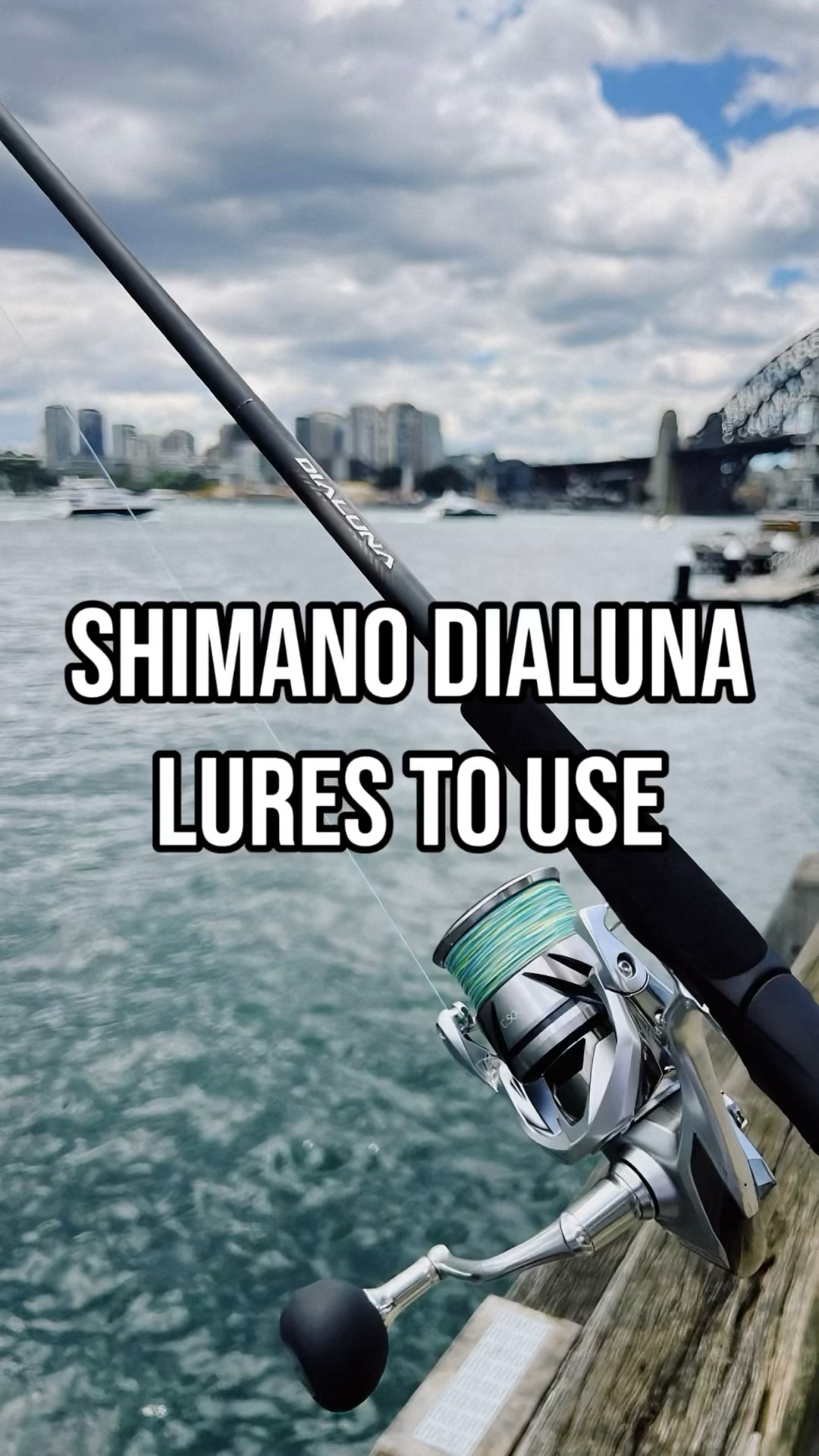 シマノ ディアルーナ S1000ML SHIMANO DIALUNA ディアルーナ[DIALUNA] | シーバス | ショアソルト | ロッド | 製品