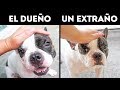 12 Cosas que haces que le causan molestar a tu perro