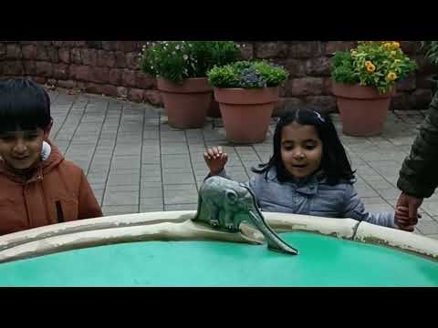See How Money Donation Happen in Germany 🇩🇪