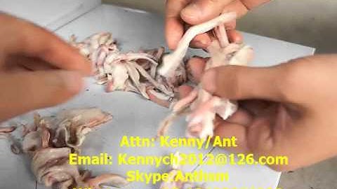 QW-800 pig pork ears slicer, meat shredding slicing machine, meat strip cutting machine, cutter