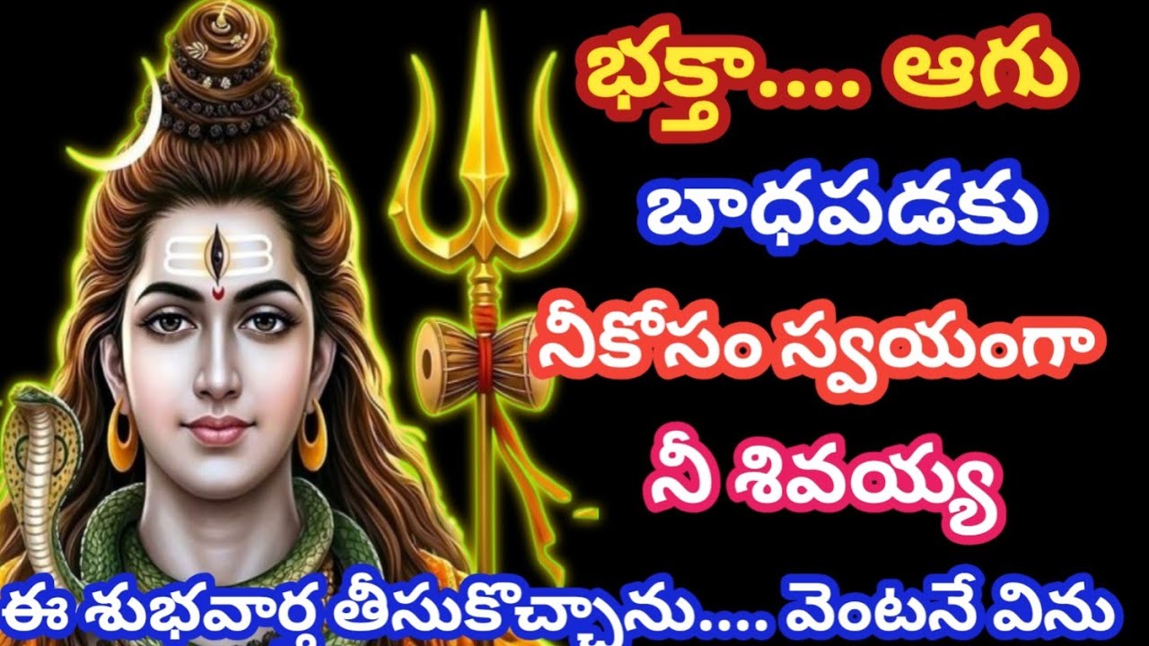 భక్తా..... ఆగు,ఈ వీడియో మీ కంటబడితే అది శివుని యొక్క సంకేతమే@SivayyaMata 
