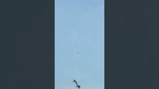 AROPlANE  BISOI