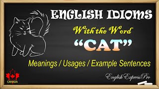 Exploring Common English Idioms with 'Cat'