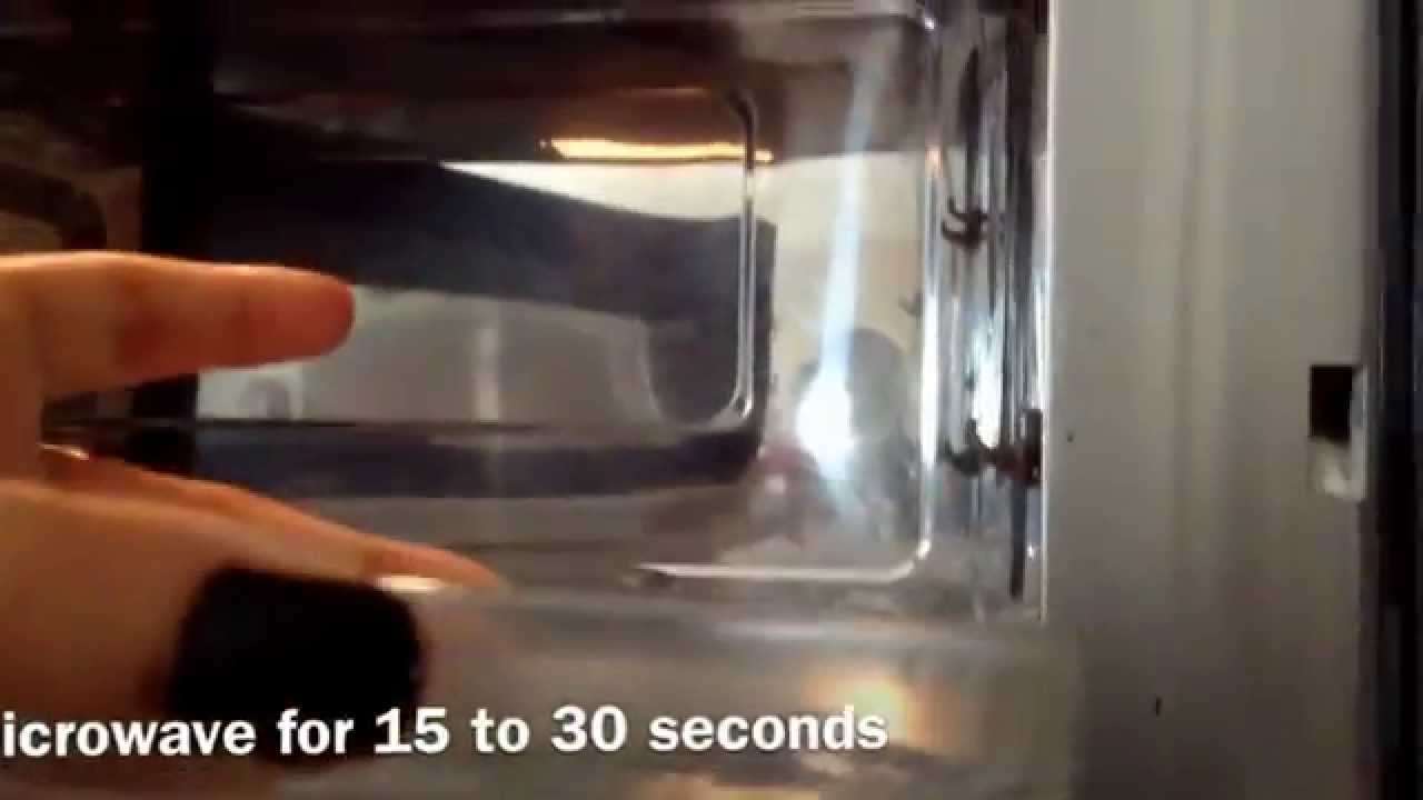 How to feed your betta peas YouTube