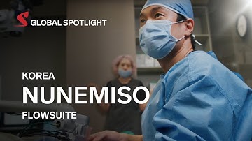 NUNEMISO: streamilining & improving workflows with FlowSuite