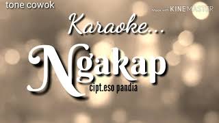 NGAKAP | tone cowok | Karaoke lagu karo