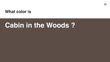 Cabin in the Woods color #5d4d47 hex color - Brown color - Cool color 5d4d47
