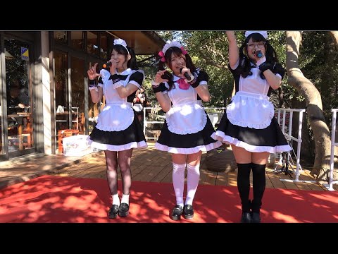 2021/03/14 水戸ご当地アイドル(仮)『♪魁』 梅まつりライブ&ランチ@偕楽園レストハウス