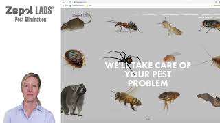 How to Login to your Customer Portal at ZepolLabs.com by Zepol Labs Pest Control 31 views 1 year ago 59 seconds