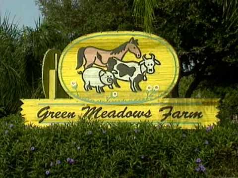 Green Meadows Petting Farm - YouTube