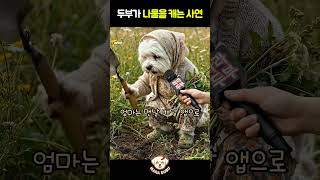 말티즈 두부가 나물을 캐는 이유