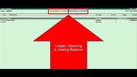 Ledger Closing &  Opening  Balance