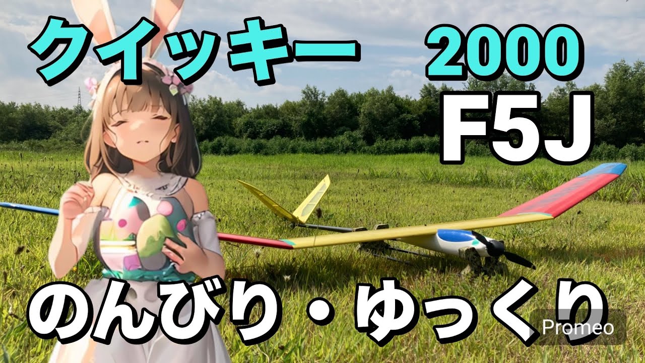 ラジコングライダー サーマルグライダー クイッキー 2000 F5J のんびり