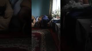 Когда Я Пошёл В Другую Комнату Я Увидел Это