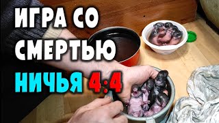 Спасение крольчат / Игра со смертью в ничью 4:4