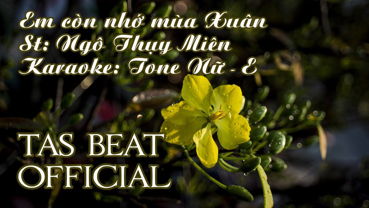 Karaoke Em còn nhớ mùa Xuân - Tone Nữ | TAS BEAT