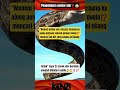 Pengembara Seekor Ular‼️😱 #shorts #subscribe #trendingshorts