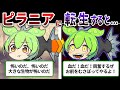 臆病だけど最狂⁉恐るべきピラニアの生態とは⁉【ずんだもん&ゆっくり解説】
