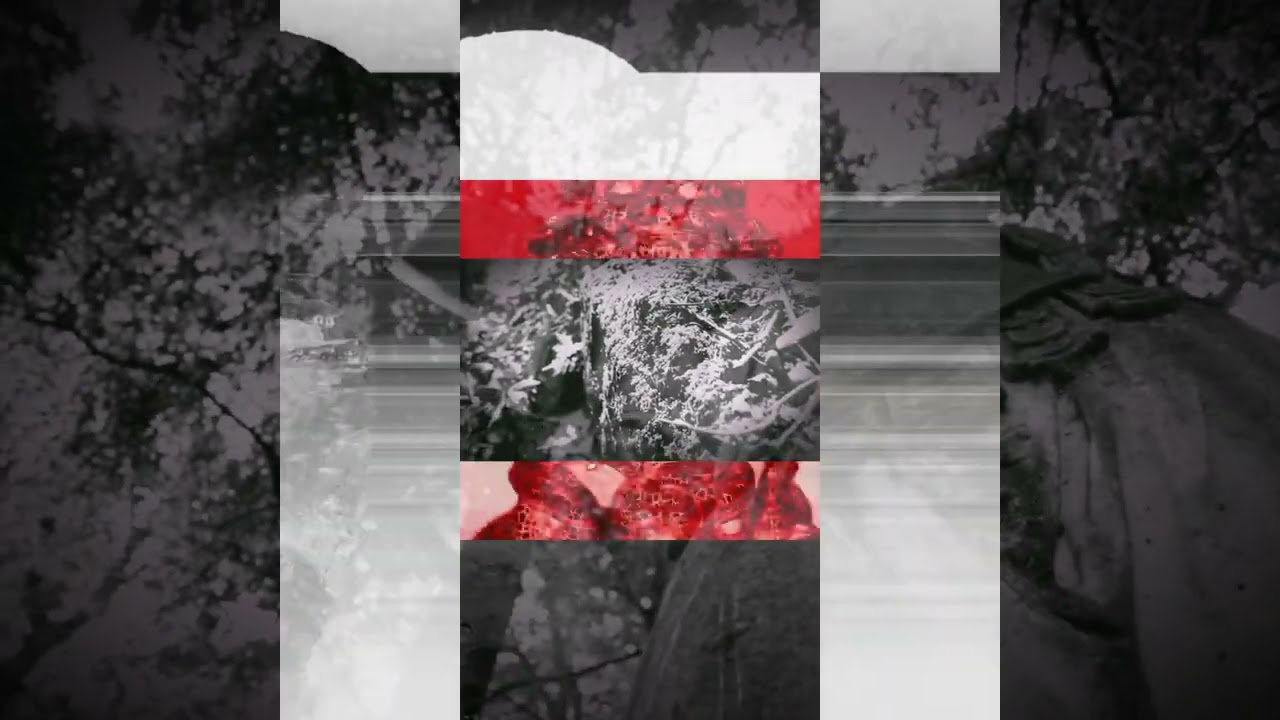 PIERJ - The Dark Sea of Awareness