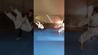 karate bunkai'“Skill Level 100!” #martialarts