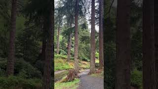 Relaxing sounds of nature 🌿 #relaxationexercises #naturalcalm
