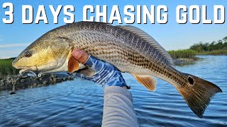 3 Days Chasing Carolina Gold (Kayak Fishing)