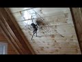 Паук на паутине из металла пошагово