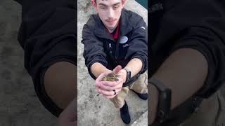 Guy Saving a Duckling in Need in a Heroic Rescue Mission
