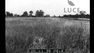 The opening of the hunting season. screenshot 2