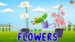 Oh This Is Tulip - Learn Flowers For Kids Babies Toddlers And Preschoolers