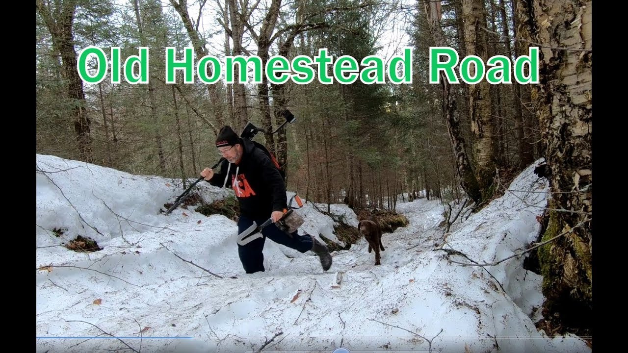 Metal Detecting - Back to the Woods