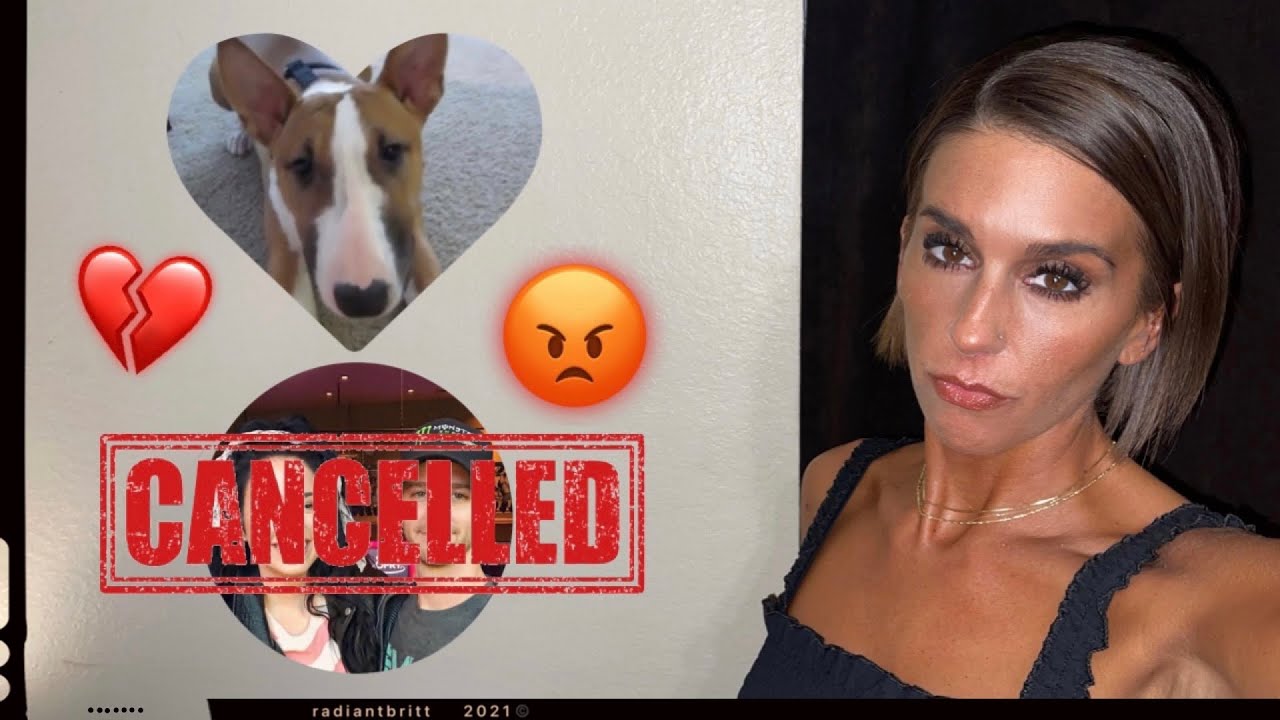 NIKKI & DAN PHILLIPPI DESTROYED A GOOD DOG & THEIR VLOGS SHOW THE PROOF