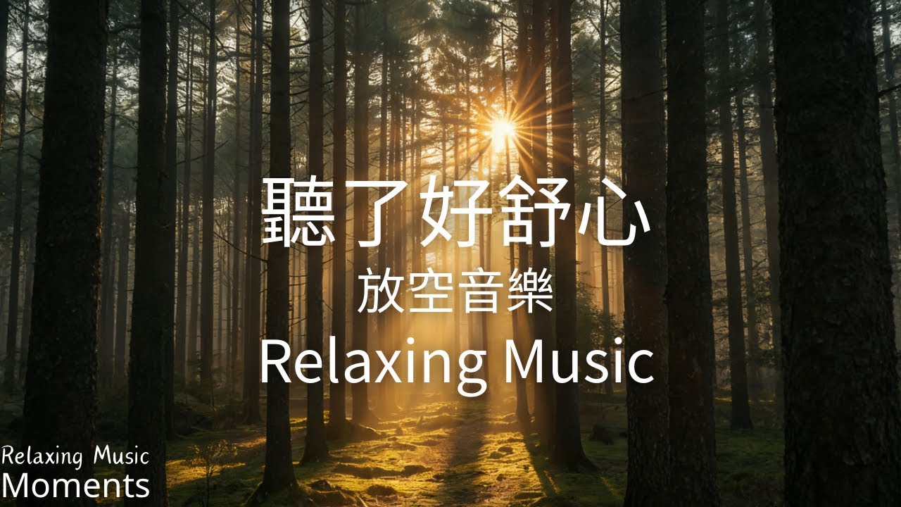 1小時適合放空的音樂｜寧靜鋼琴音樂｜❤️慢慢就好鋼琴音樂｜暖心音樂循環播放｜柔柔的旋律，陪你放空｜放鬆. 舒壓. 舒服. 靜心|Relaxing Music #relaxing music