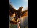 Eagle #automobile #funny #walkinspiritoftheholyspirit