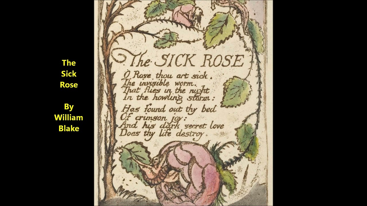"The Sick Rose" William Blake poem = O Rose thou art sick.The invisible worm That flies in the night