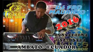 Video thumbnail of "NOS CRITICAN LOS TIGRES DEL SABOR 2016 DJ FRD MAURICIO"