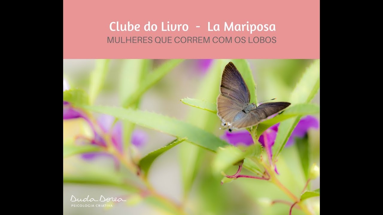 La Mariposa YouTube