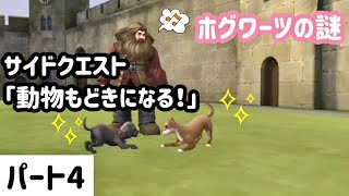 ホグワーツの謎 なりたい動物を選択する 動物もどきになる パート4 Youtube