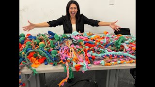 Gexa Energy employees create dog toys for Houston Humane Society