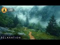 🔴 Nature Music for Relaxation and Meditation 24/7, Healing Frequencies, Stress Relief Music, Sleep