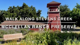 McClellan Ranch Nature Preserve - nice shaded trail slong Stevens Creek 蘋果公司旁的小溪步道，加州百年歷史農場，清晨自然音